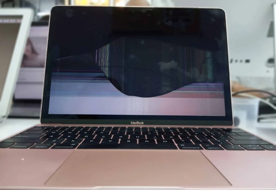 Màn Hình Laptop Bị Vỡ: 5 Dấu Hiệu Phải Thay Gấp & Cách Giảm Chi Phí