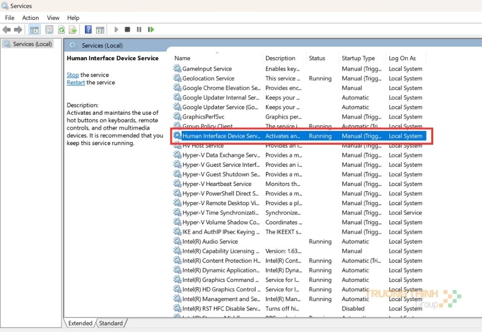 Chuột Máy Tính Bị Đơ? Nguyên Nhân Và Cách Khắc Phục Nhanh